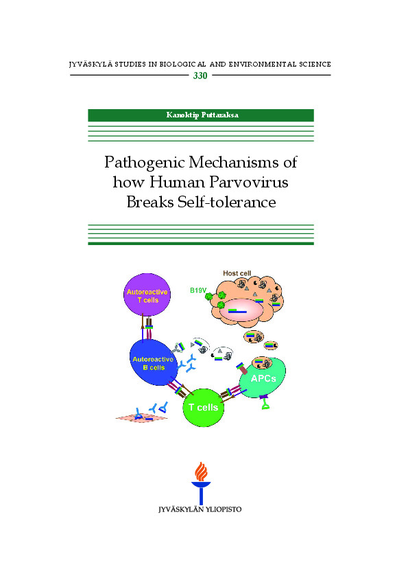 Pathogenic mechanisms of how human parvovirus breaks self-tolerance